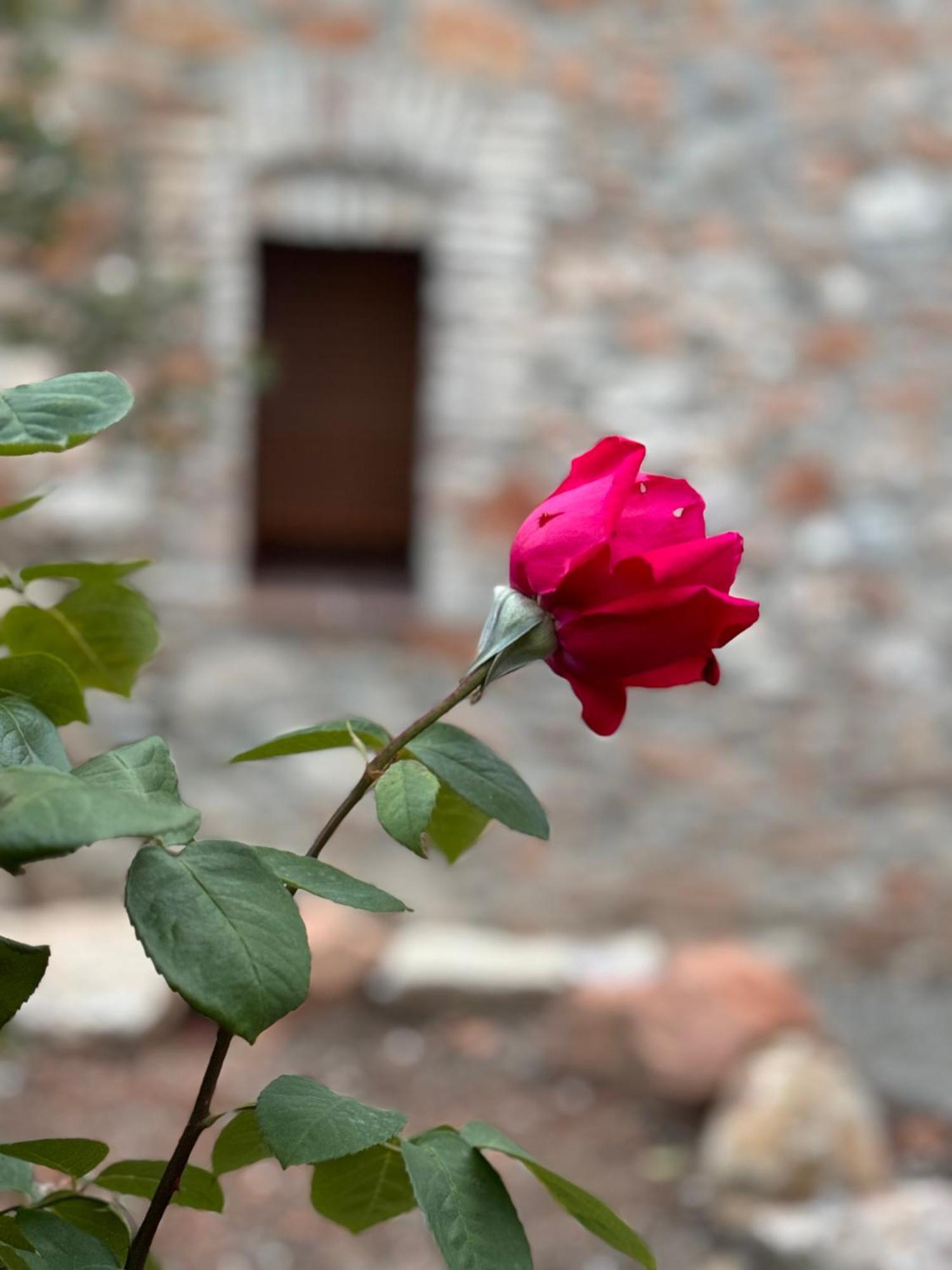 Casa De La Serra Montblanc Zewnętrze zdjęcie